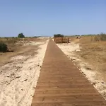 Nordseemole *